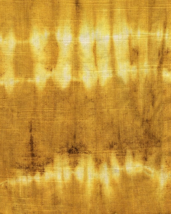 Picture of TURMERIC SUNRISE IV