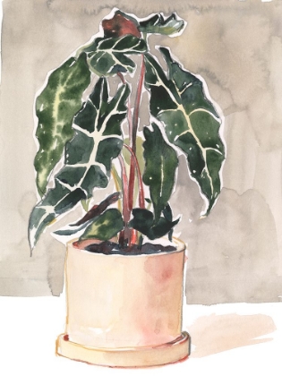 Picture of POTTED HOUSEPLANT I