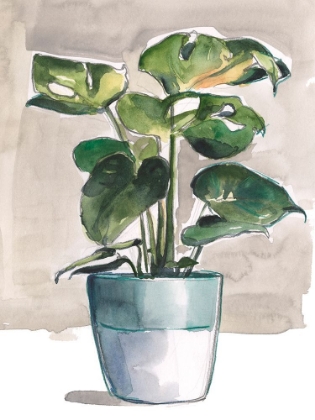Picture of POTTED HOUSEPLANT II