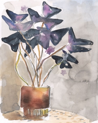 Picture of OXALIS IN VASE I