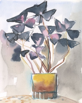 Picture of OXALIS IN VASE II