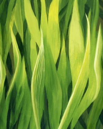 Picture of BLADES OF GRASS II