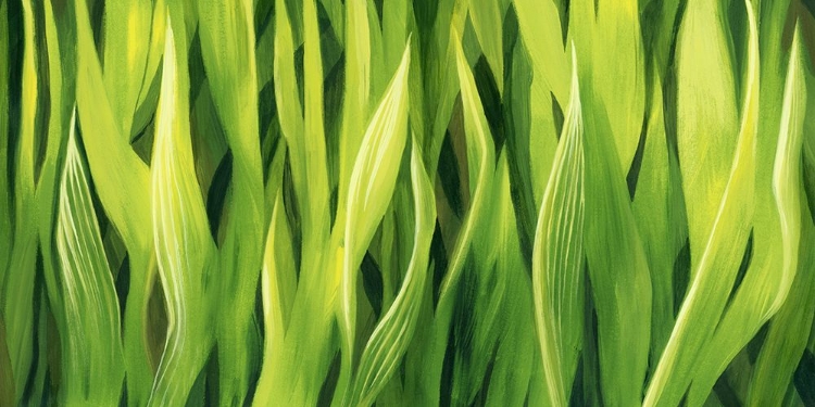 Picture of BLADES OF GRASS III