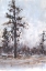 Picture of VINTAGE TREE MOMENT I