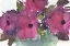 Picture of FLORAL PRETTY II