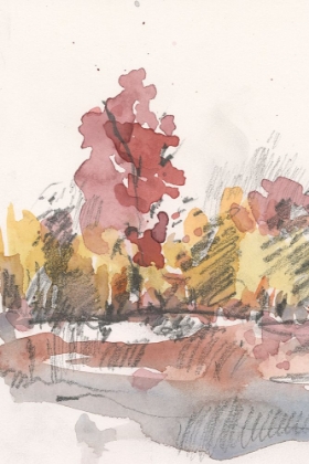 Picture of WATERCOLOR TREELINE SKETCH I