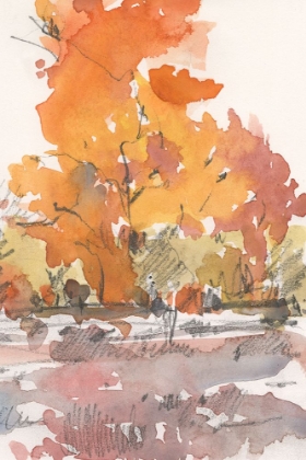 Picture of WATERCOLOR TREELINE SKETCH II