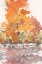 Picture of WATERCOLOR TREELINE SKETCH II