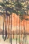 Picture of BETWEEN THE TREES II