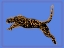 Picture of THE WILD LEOPARD I