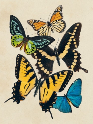 Picture of COLLAGED BUTTERFLIES II