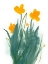 Picture of DAFFODIL BUNCH I