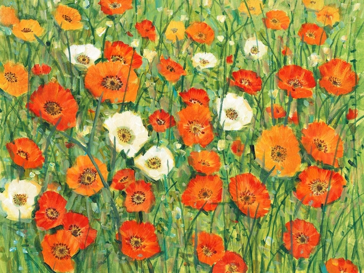 Picture of POPPY MEADOW I