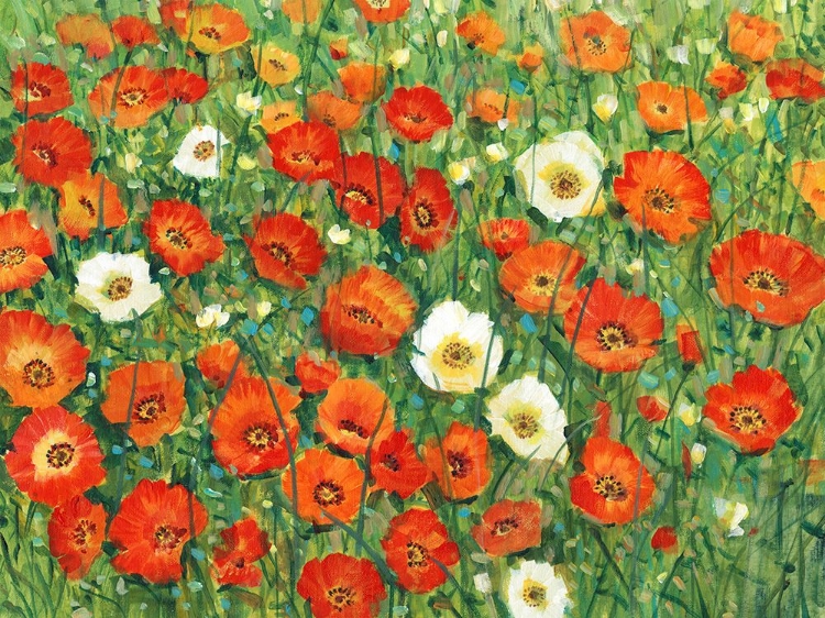 Picture of POPPY MEADOW II