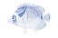 Picture of BLUE AND WHITE TROPICAL FISH IV