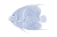 Picture of BLUE AND WHITE TROPICAL FISH V