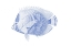 Picture of BLUE AND WHITE TROPICAL FISH VI