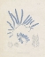 Picture of BLUE MARINE ALGAE II