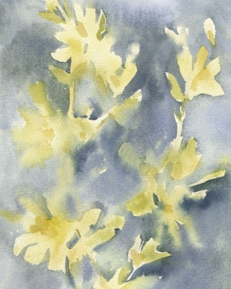 Picture of FORSYTHIA BLOOMS II