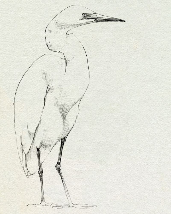 Picture of ERECT EGRET I