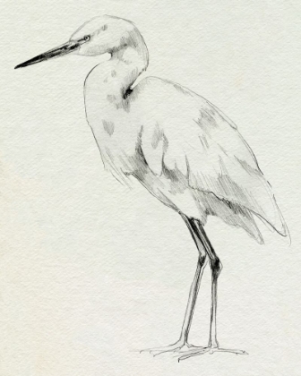 Picture of ERECT EGRET II