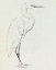 Picture of ERECT EGRET III