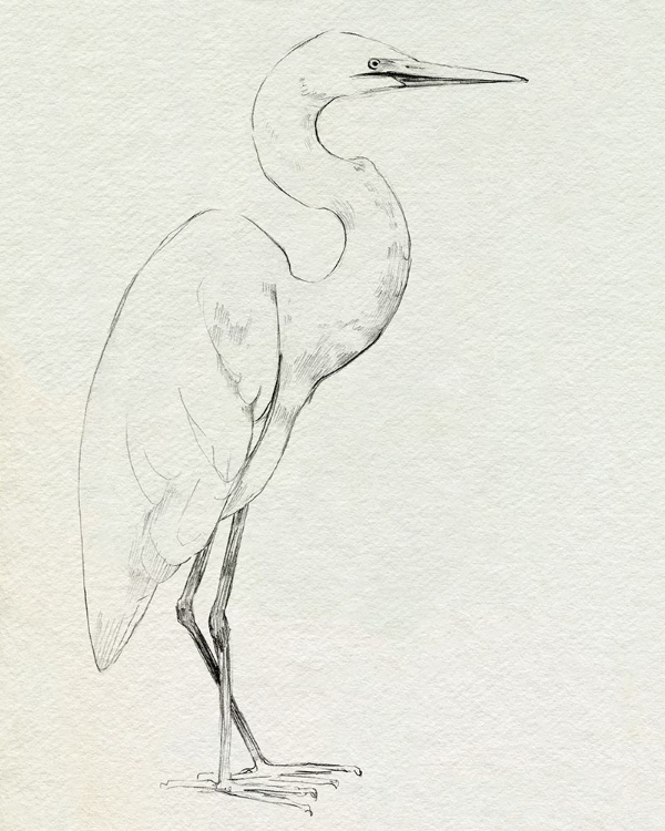 Picture of ERECT EGRET III