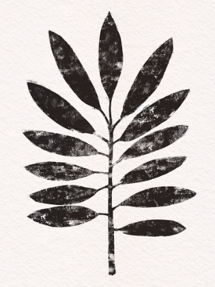 Picture of PRESSED TROPICAL LEAF VI