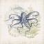 Picture of ANTIQUE COASTAL EPHEMERA VIII