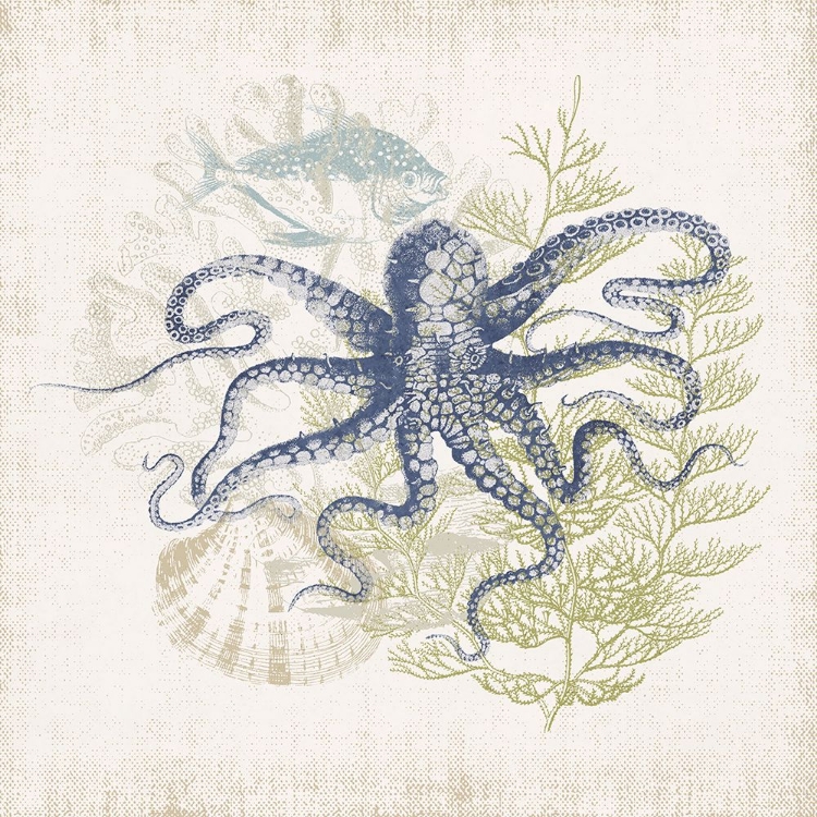 Picture of ANTIQUE COASTAL EPHEMERA VIII