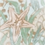 Picture of KELP SONG I