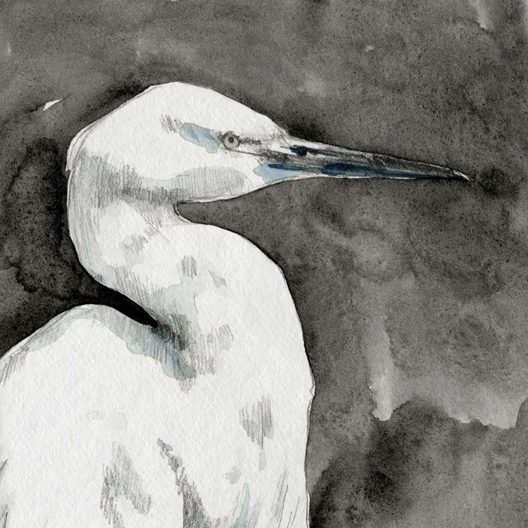 Picture of SOLEMN EGRET I