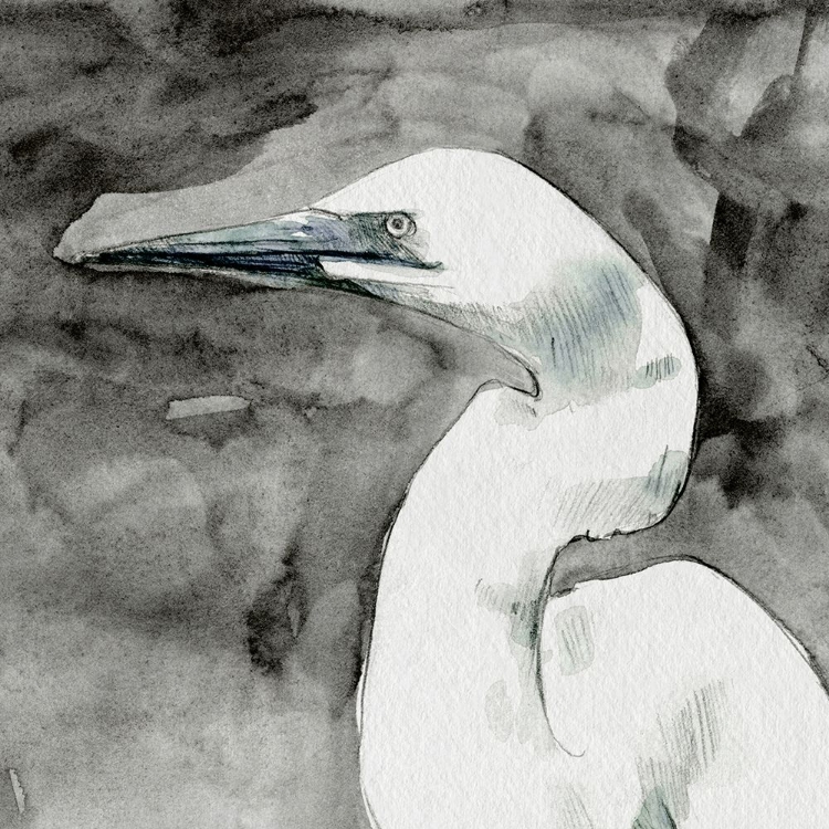 Picture of SOLEMN EGRET II