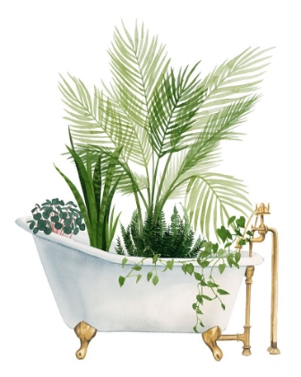 Picture of PLANT BATH I