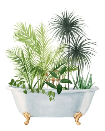 Picture of PLANT BATH II