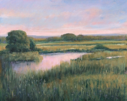 Picture of SPRING MARSH I