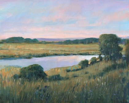 Picture of SPRING MARSH II