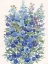 Picture of A PATCH OF WILDFLOWERS II