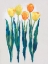 Picture of TULIPS IN A ROW II