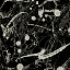 Picture of INK LINE ABSTRACT VI