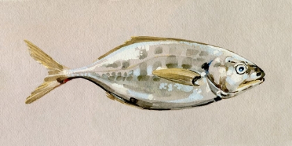 Picture of FRESH FISH STUDY I