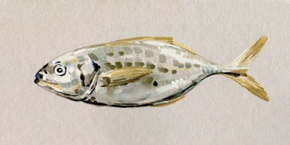 Picture of FRESH FISH STUDY II