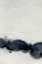 Picture of INK BLEED LANDSCAPE I