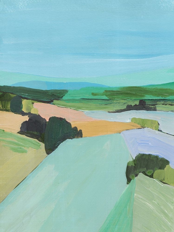Picture of BRIGHT COLORED COUNTRYSIDE IV