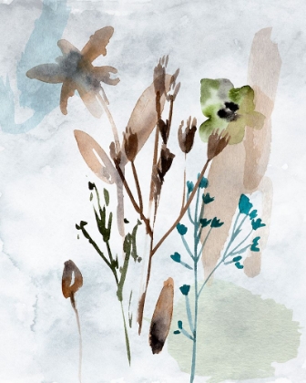 Picture of WATERCOLOR WILDFLOWERS II