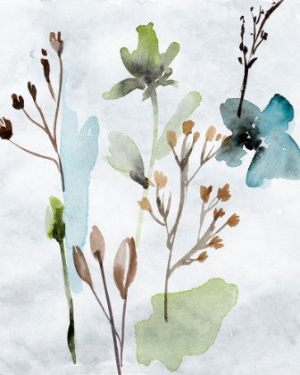 Picture of WATERCOLOR WILDFLOWERS VI