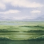 Picture of SUNKISSED MEADOW II