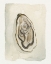 Picture of SOFT HALF SHELL II
