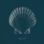 Picture of SHELL STUDY ON TEAL III