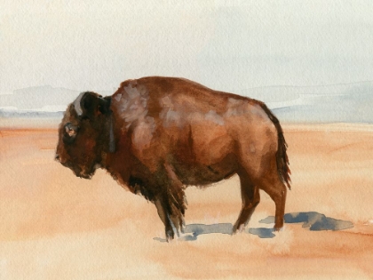 Picture of GRAZING BISON I